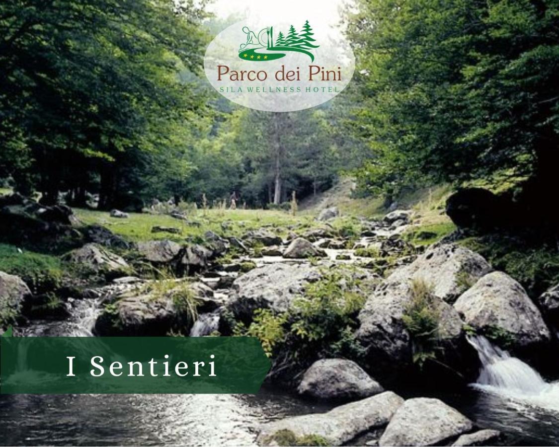 Parco Dei Pini - Sila Wellness Hotel 타베르나 외부 사진